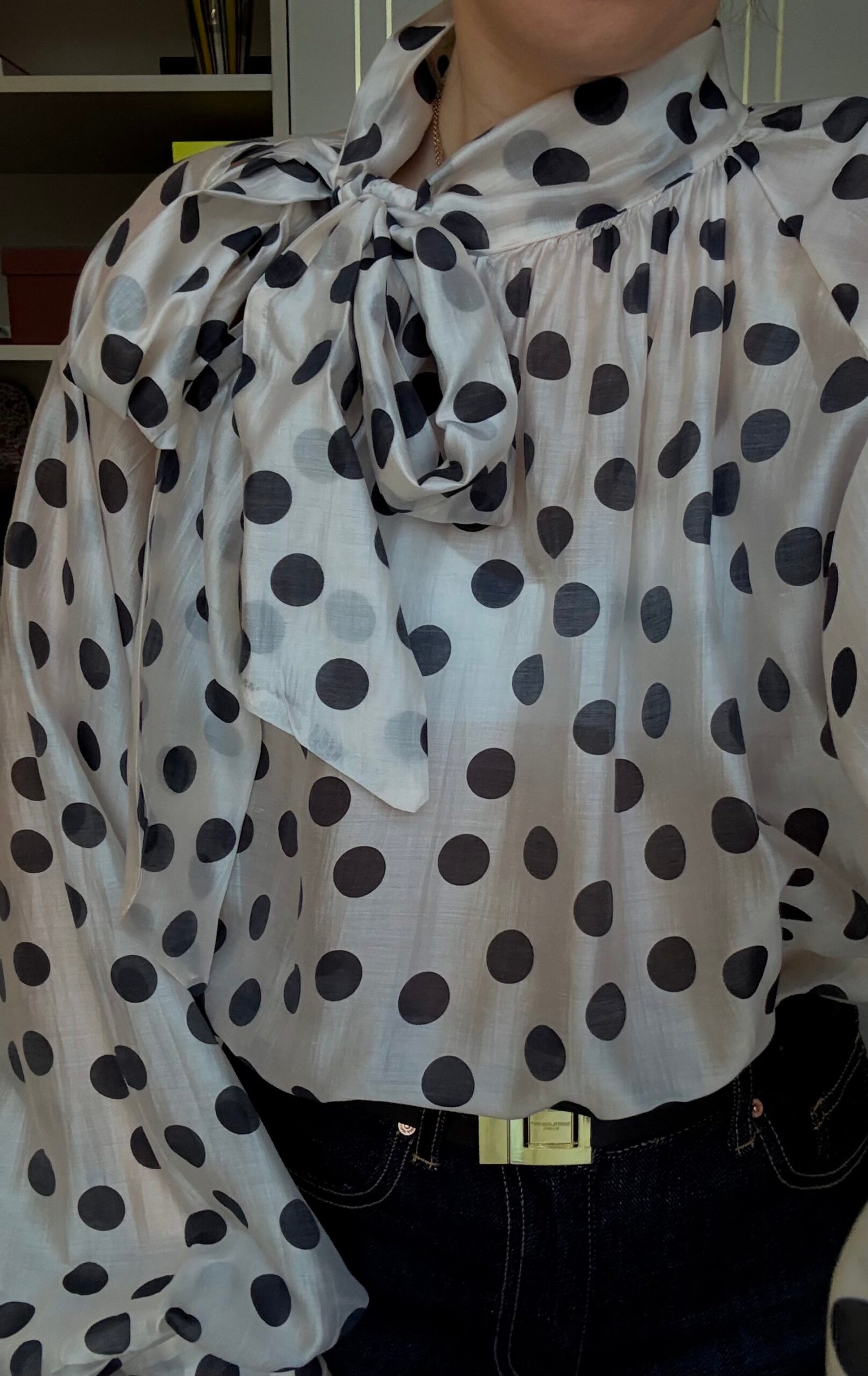 ŽIRNELIŲ RAŠTO PALAIDINĖ - Image 2