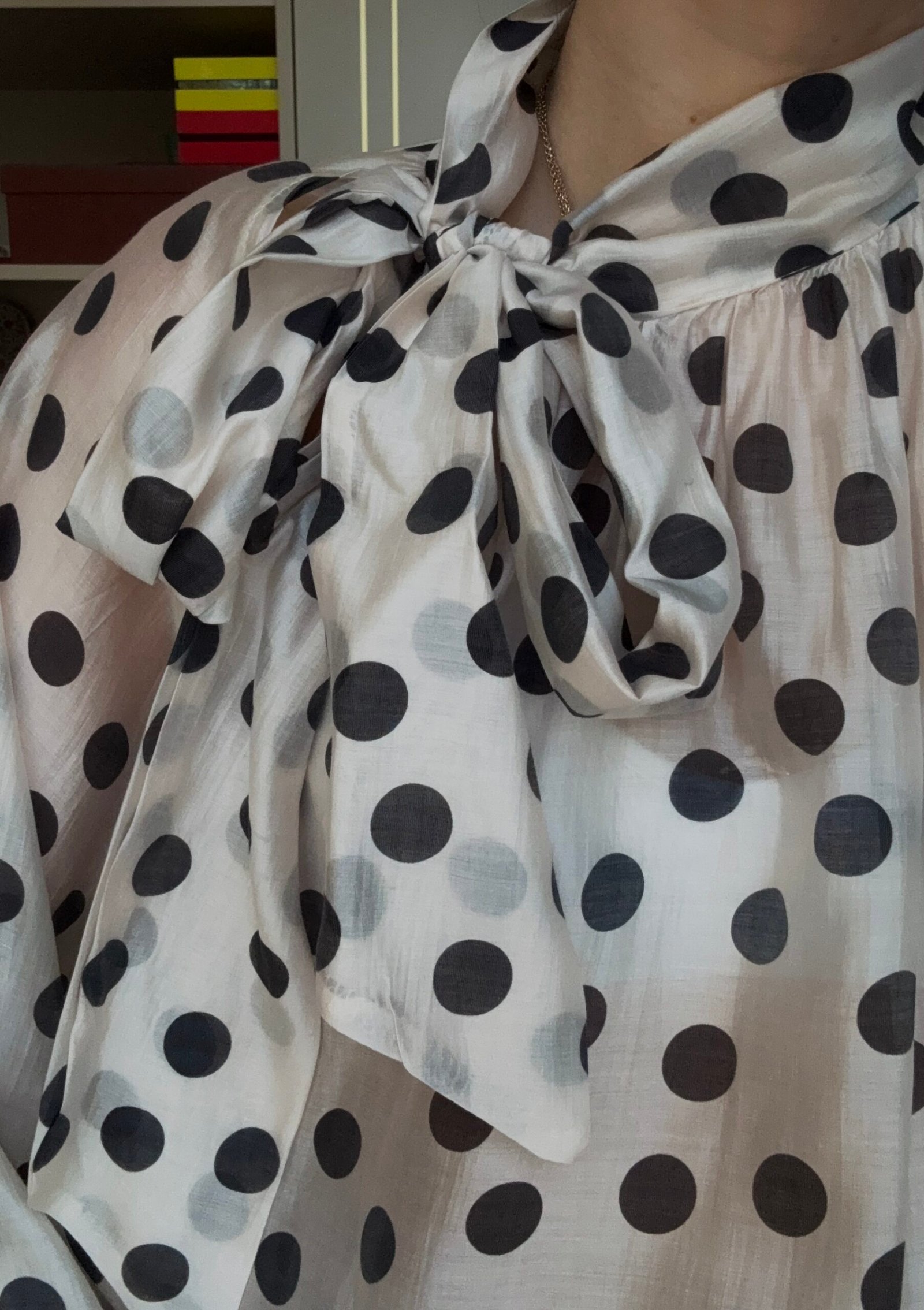 ŽIRNELIŲ RAŠTO PALAIDINĖ - Image 3